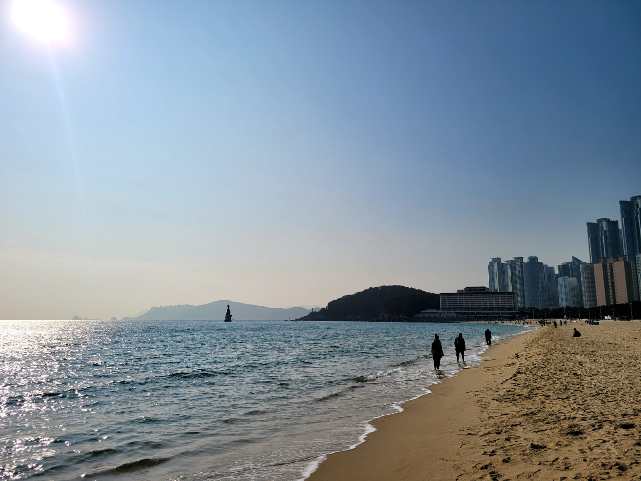 바다 연꽃