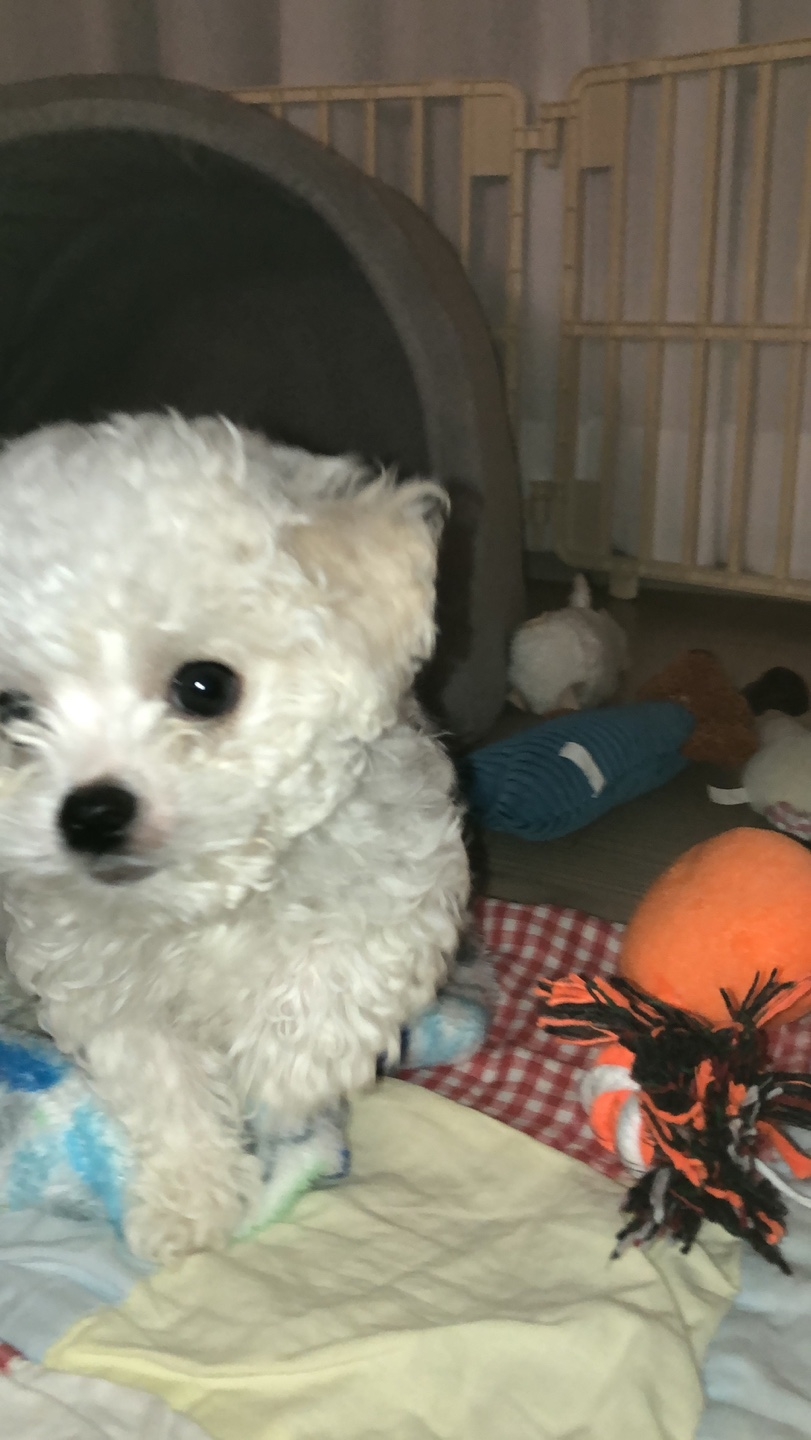 잔잔함 속 일렁임