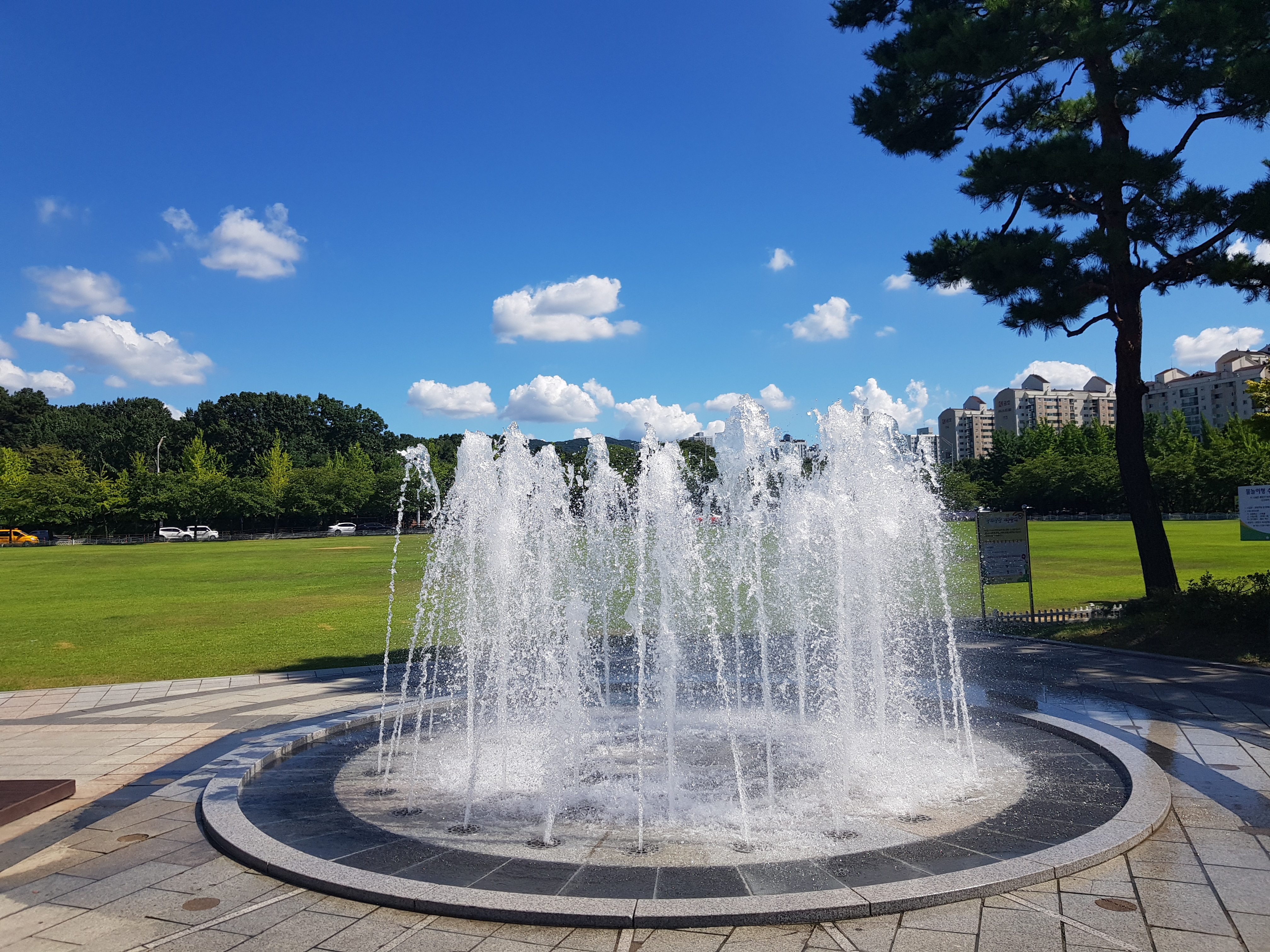 스쳐지나가는바람처럼