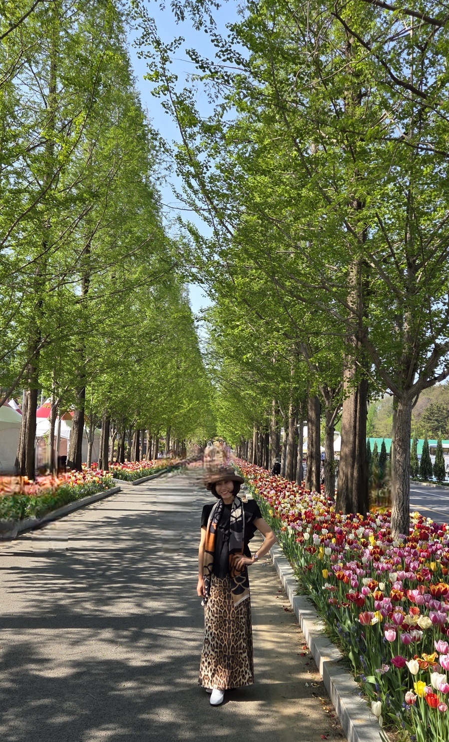 이은정 하늘의백장미