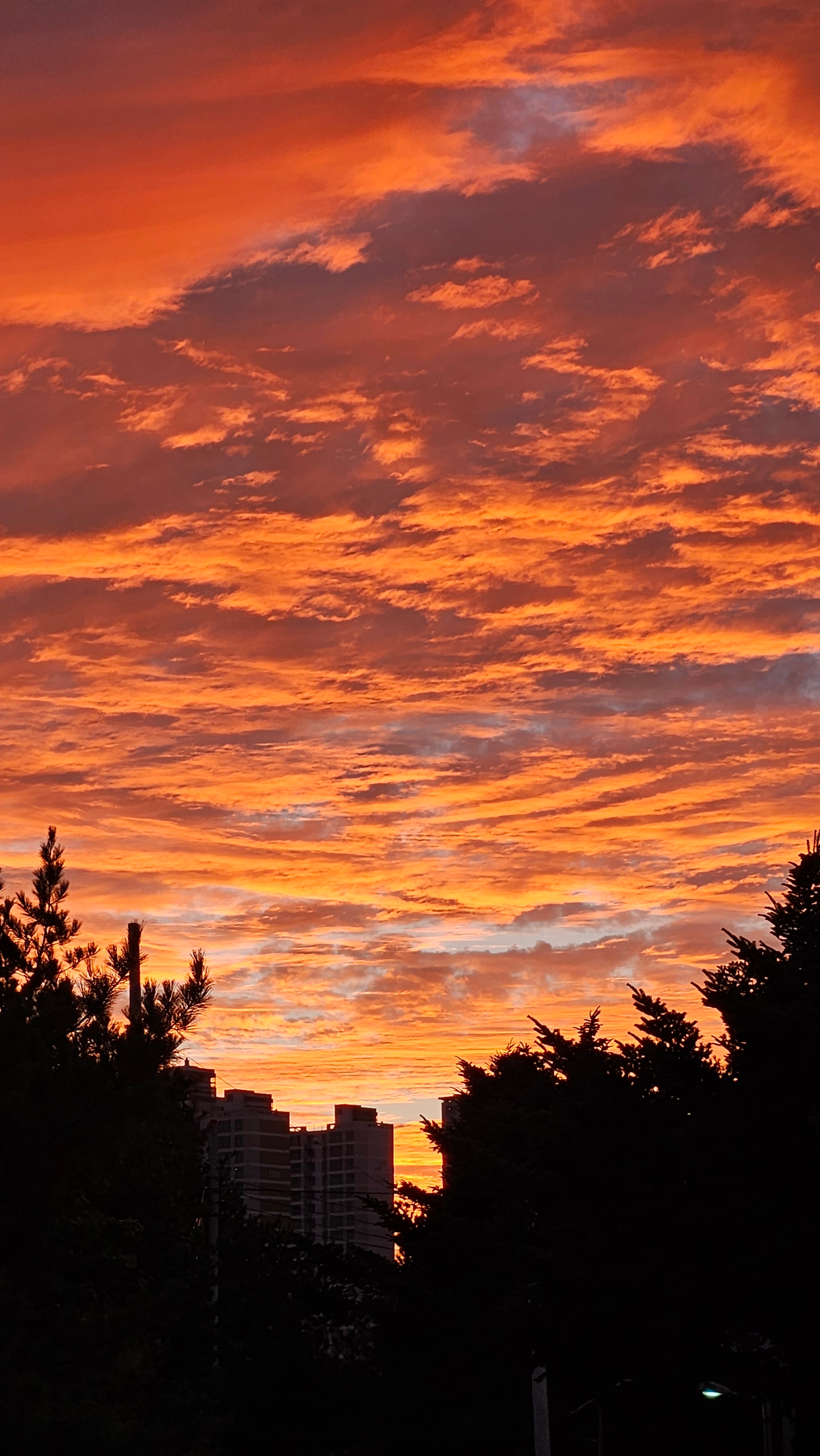 오뚜기삼분요리