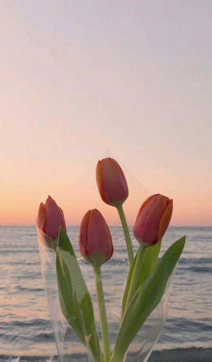 극도로 섬세한 여자입니다