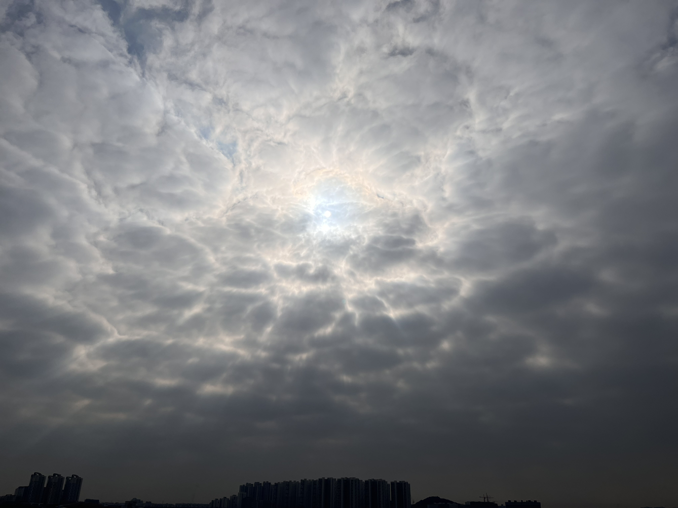 느티나무의 명상방