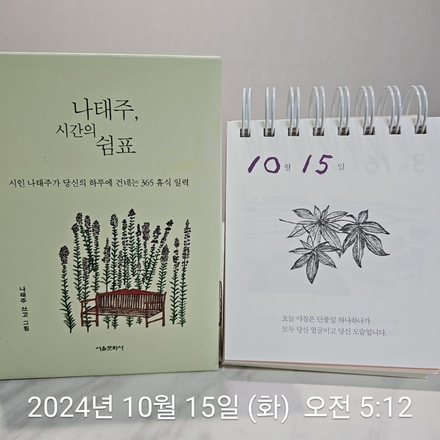 엄마마음 이미지