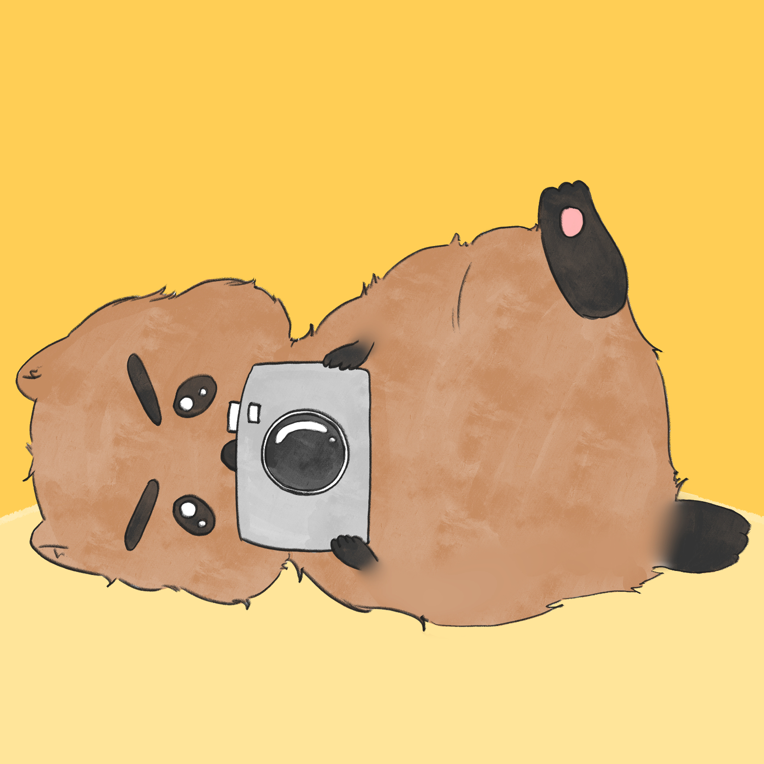 쿼카의 무비스토리