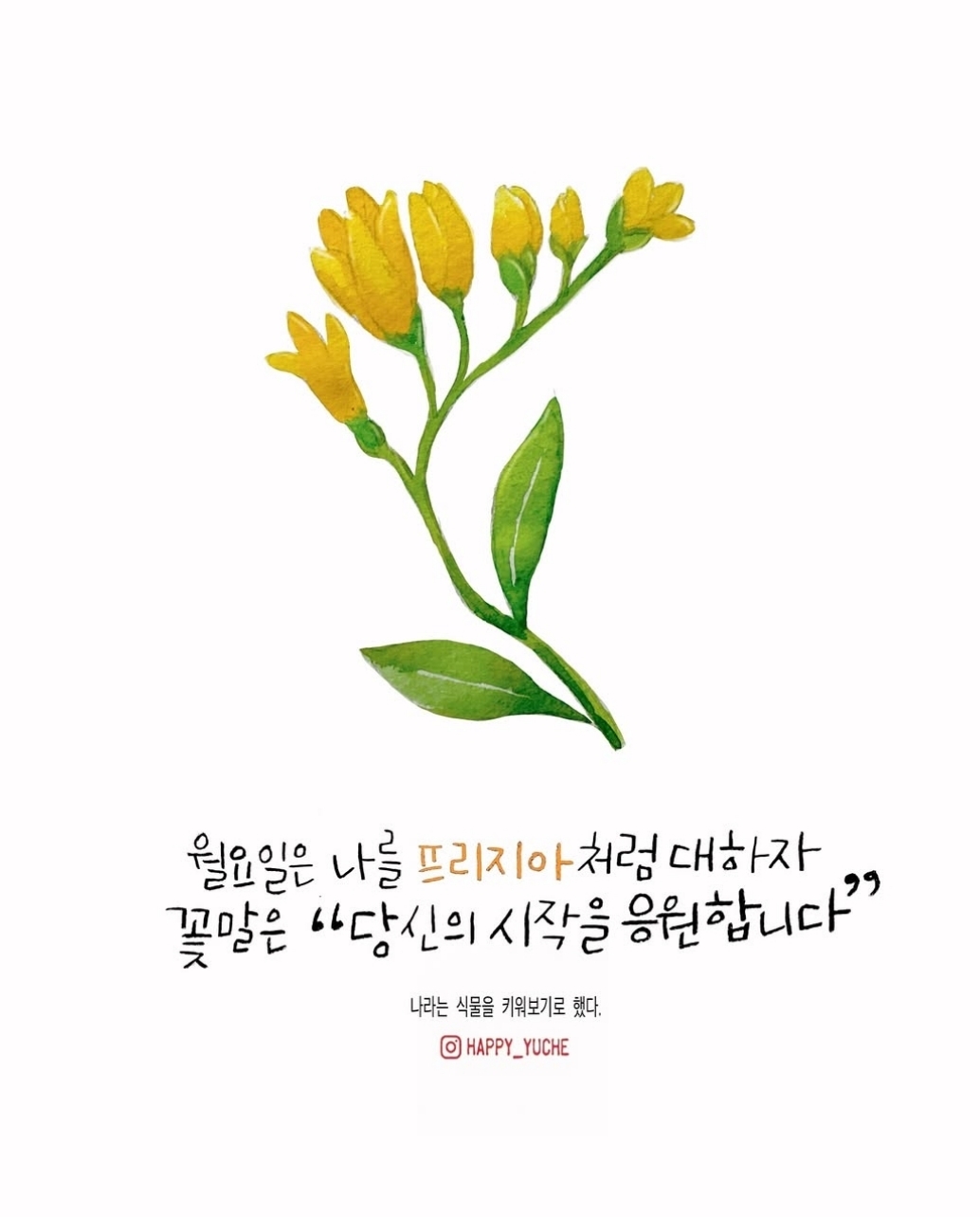 꽃내음 이미지