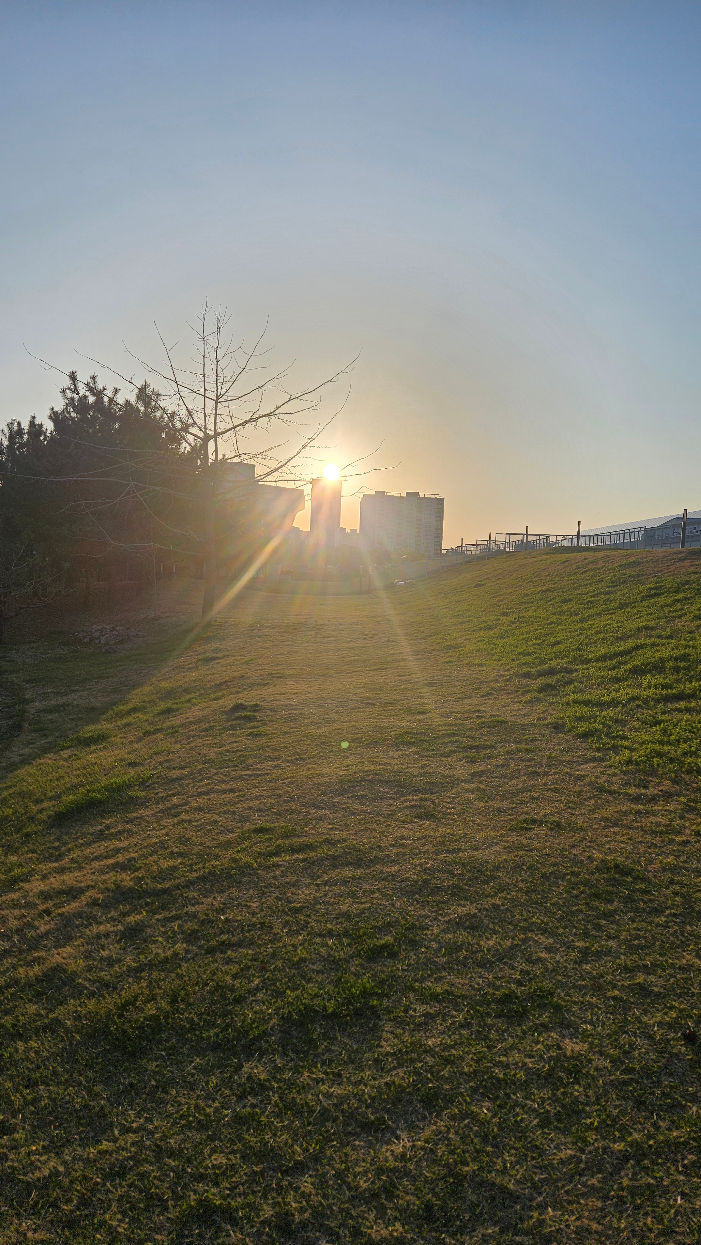오이비누
