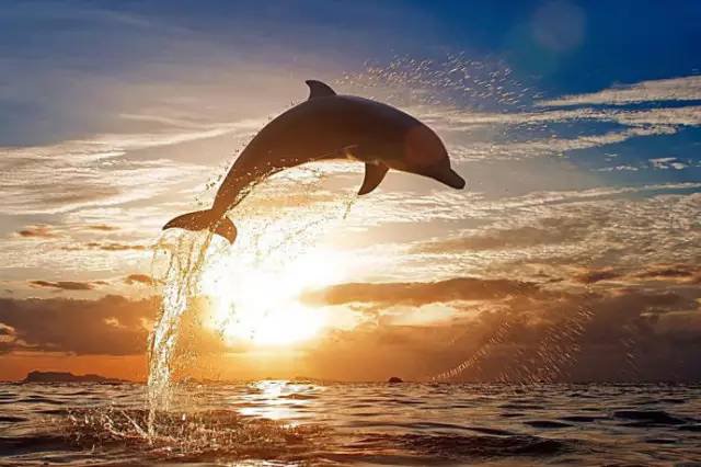 방영진 마음 속 여행 중