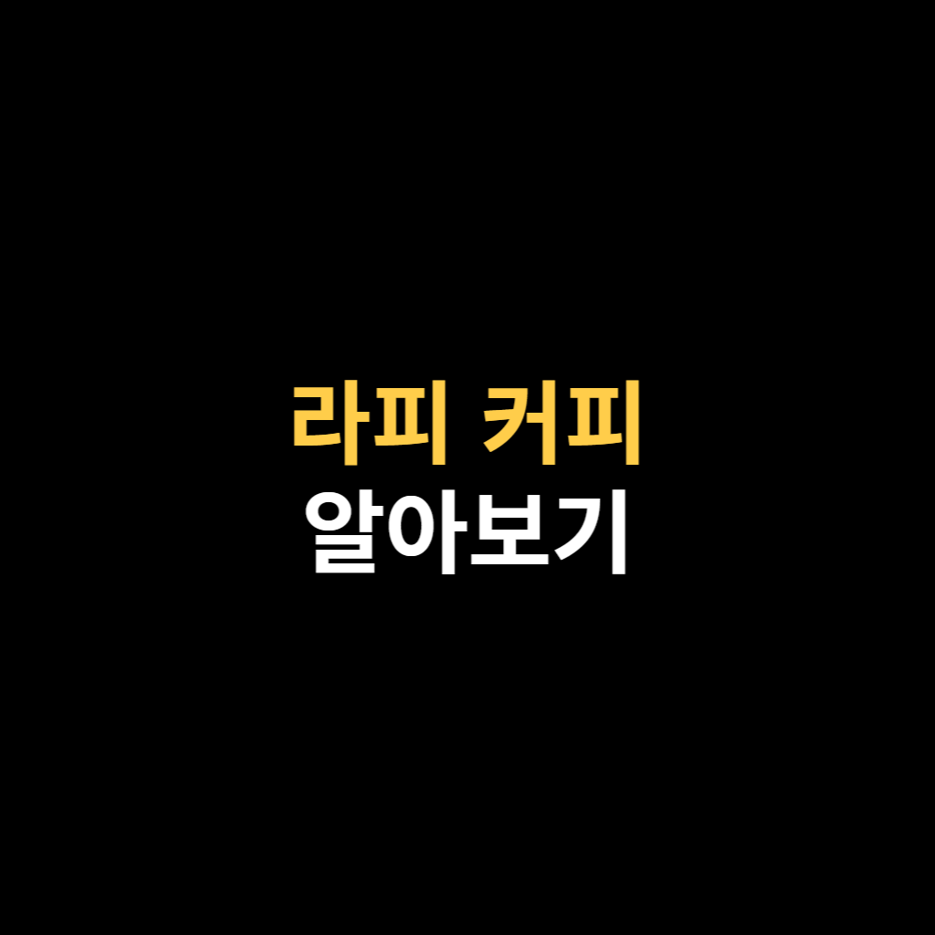 라피에 이미지