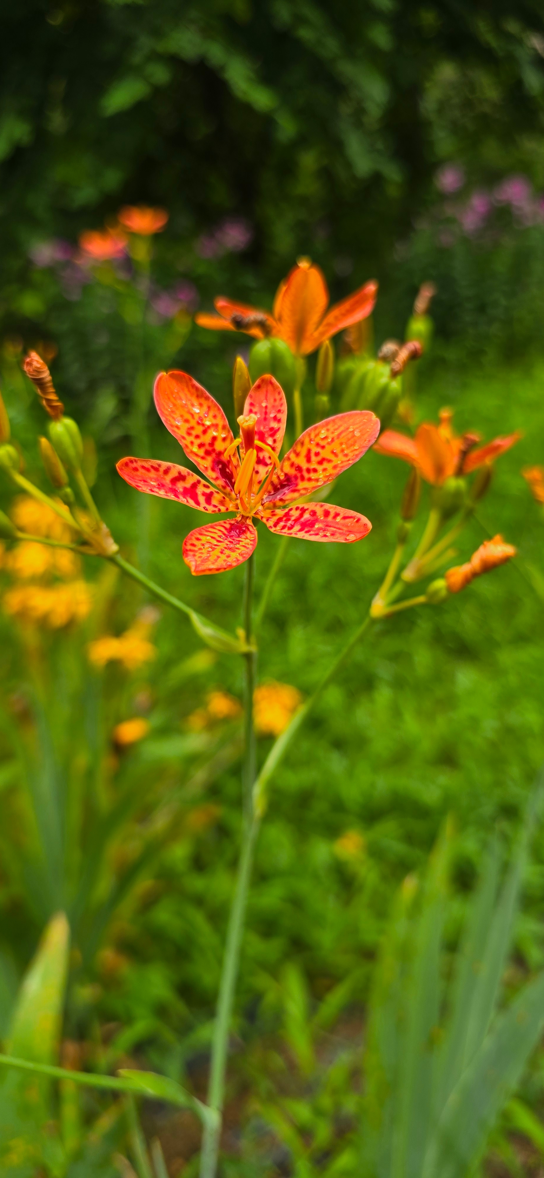 꿈이 영그는 자리