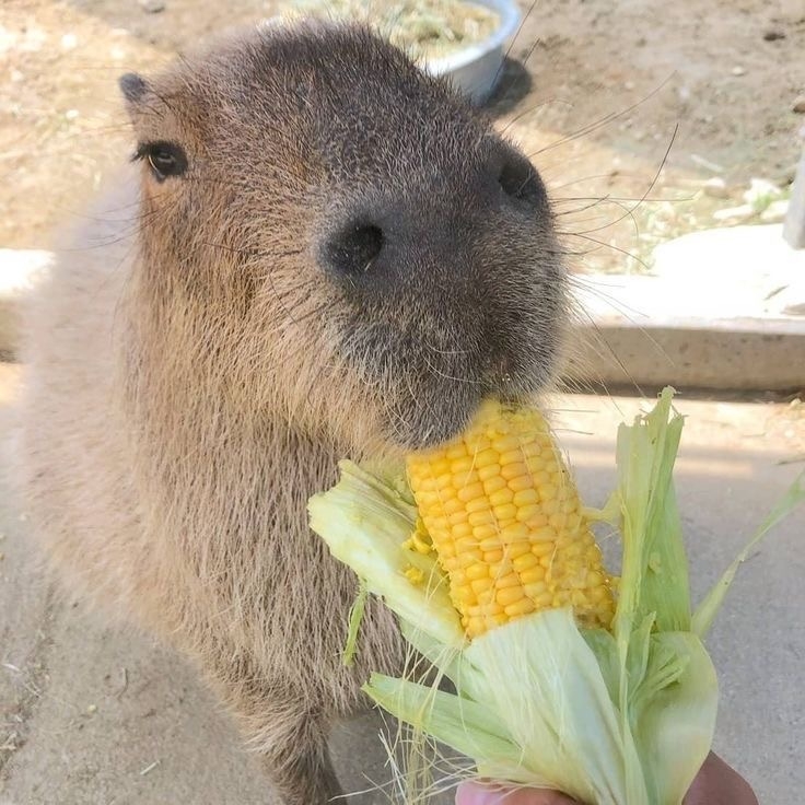 너와나만의시간