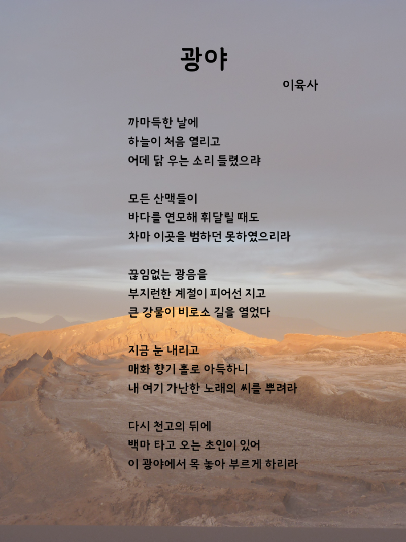 닭소리 이미지