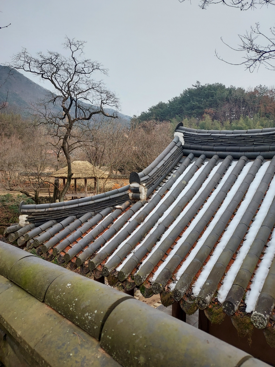 차경 이미지