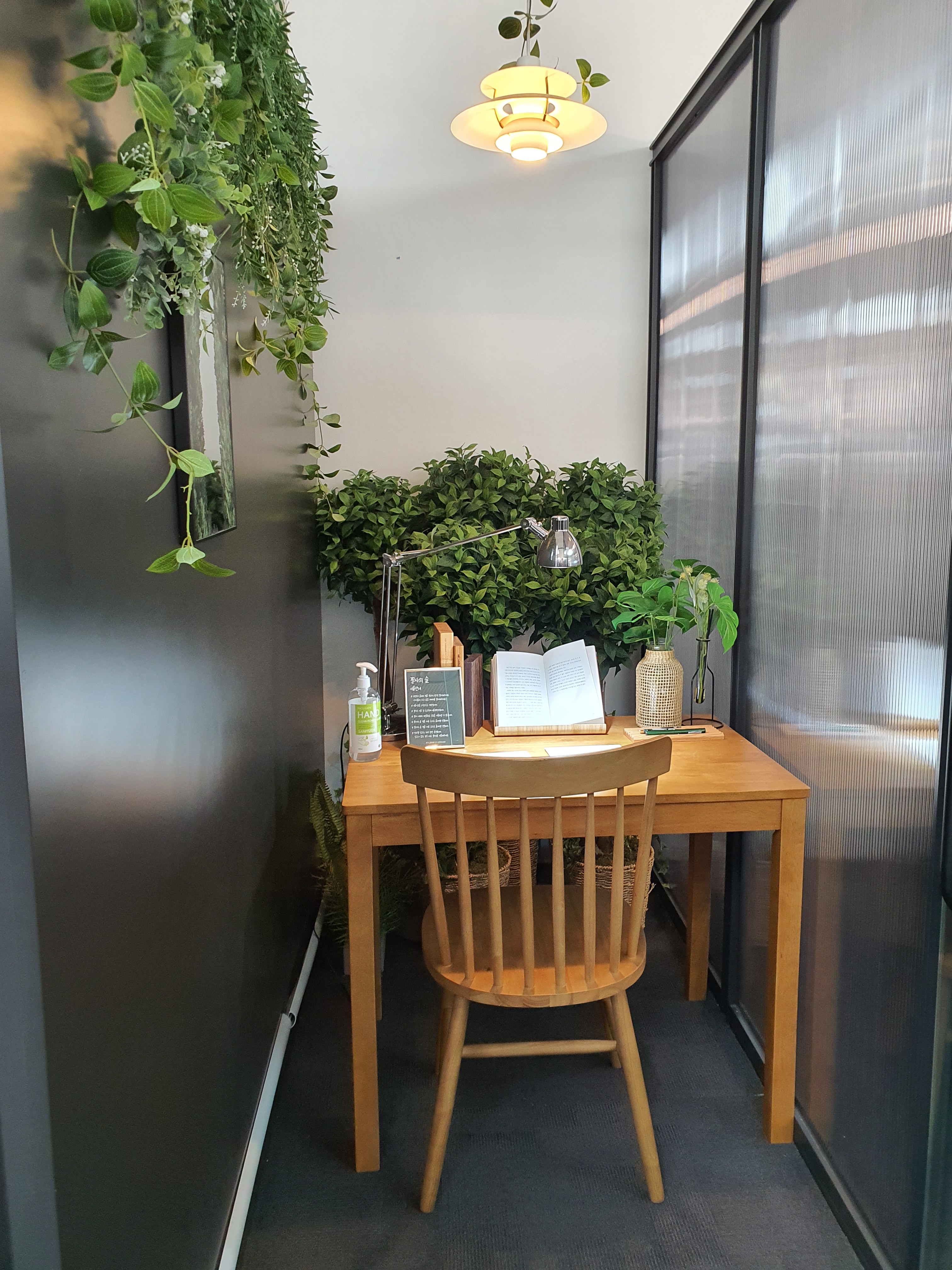 지혜로운 거북이