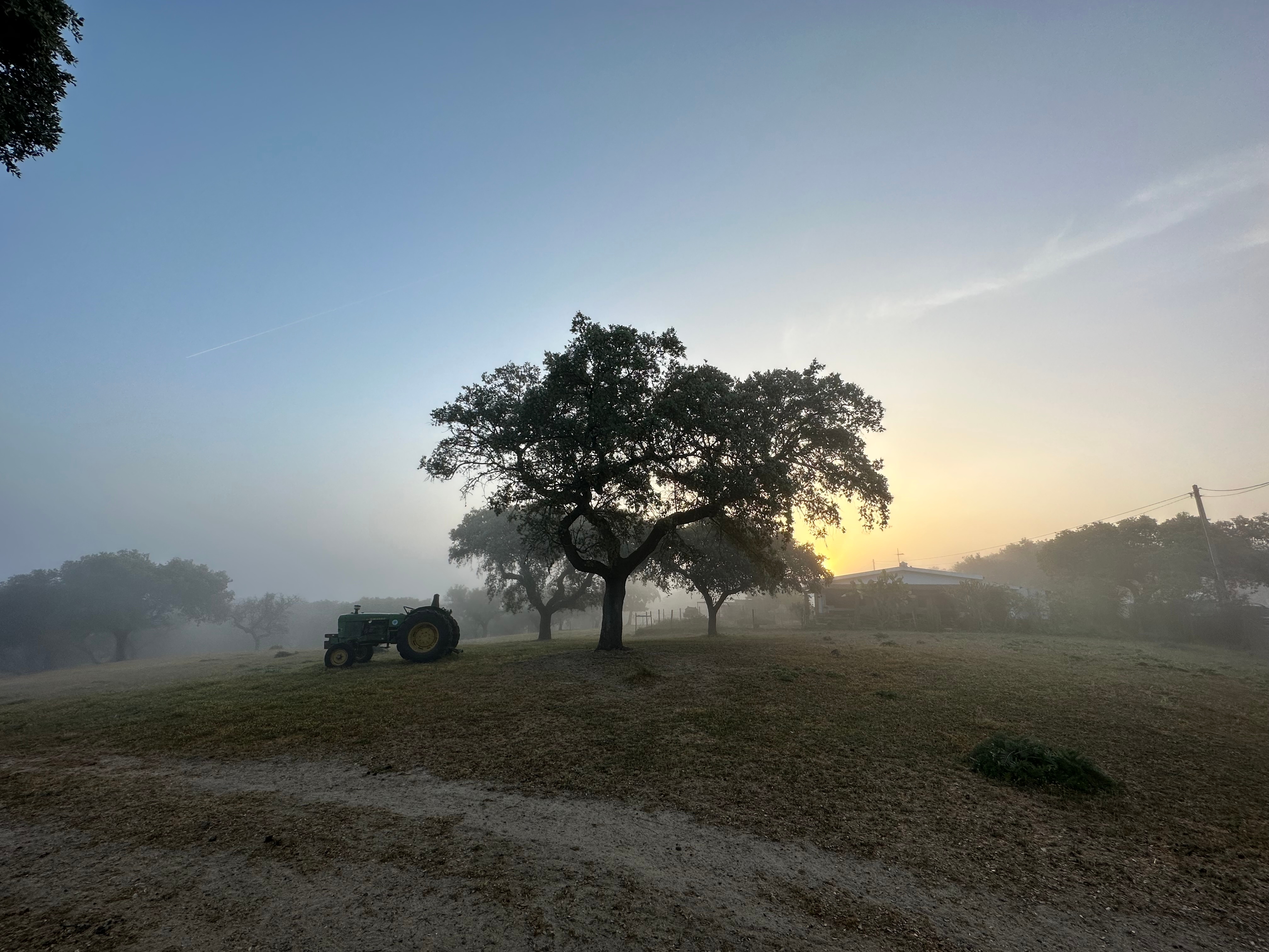 가슴뛰는 매일을 꿈꾸며