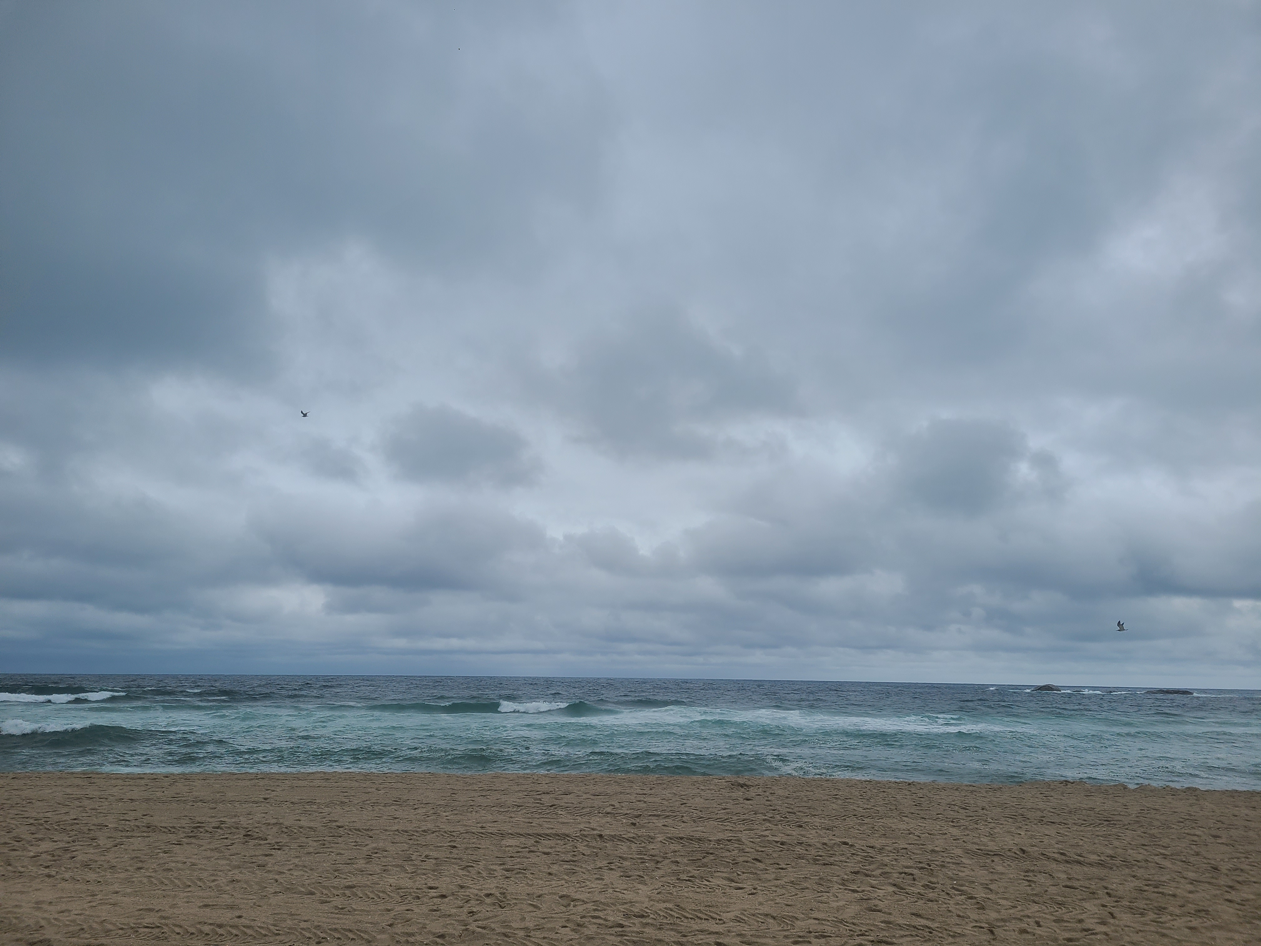 파도타는 나그네