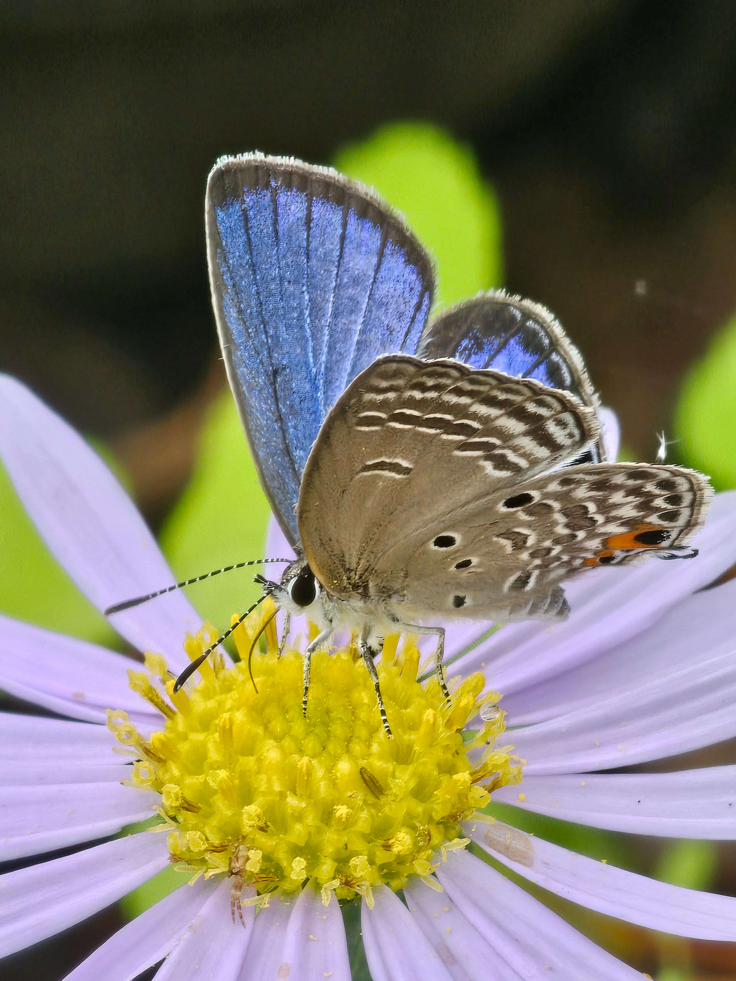 09화 수륙양용 워터코인