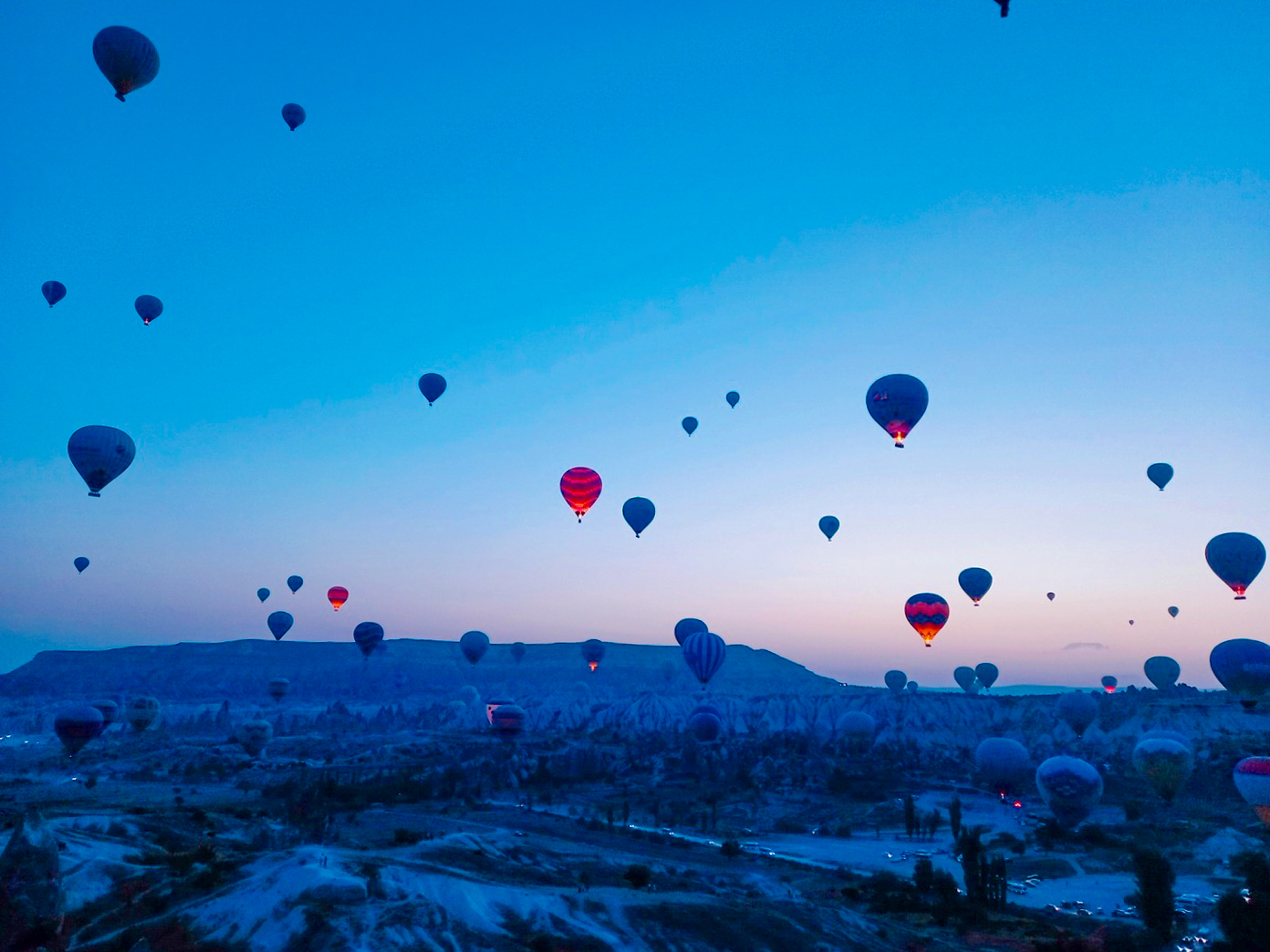 헤이헤이 그레이스