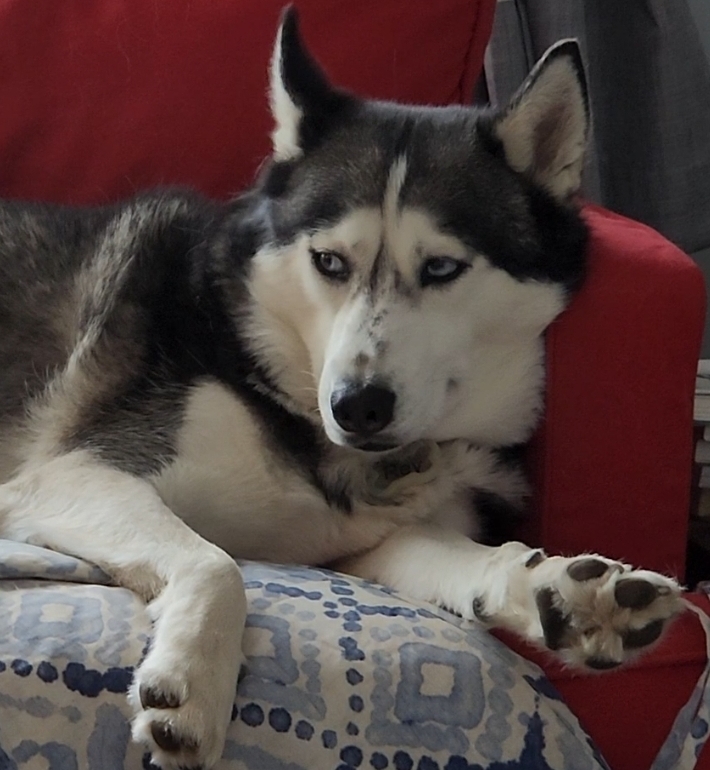 어느 우체부의 독백