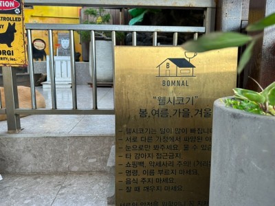 카페봄날 이미지