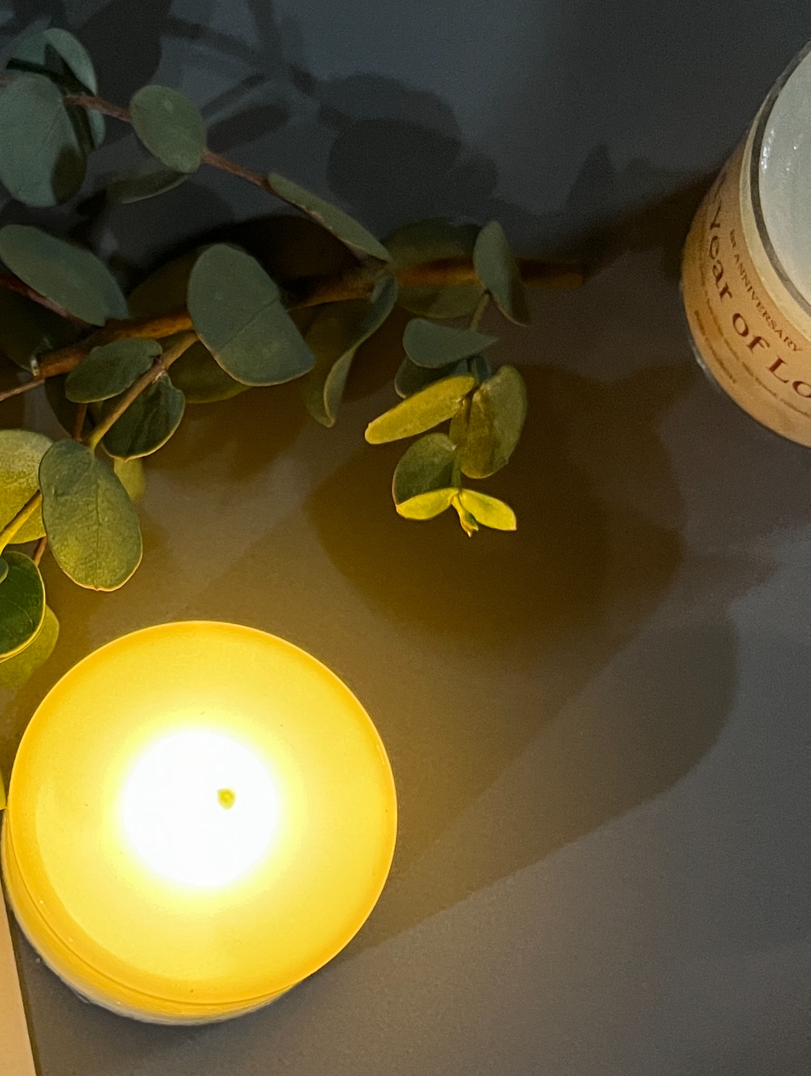 리엘의 포도나무