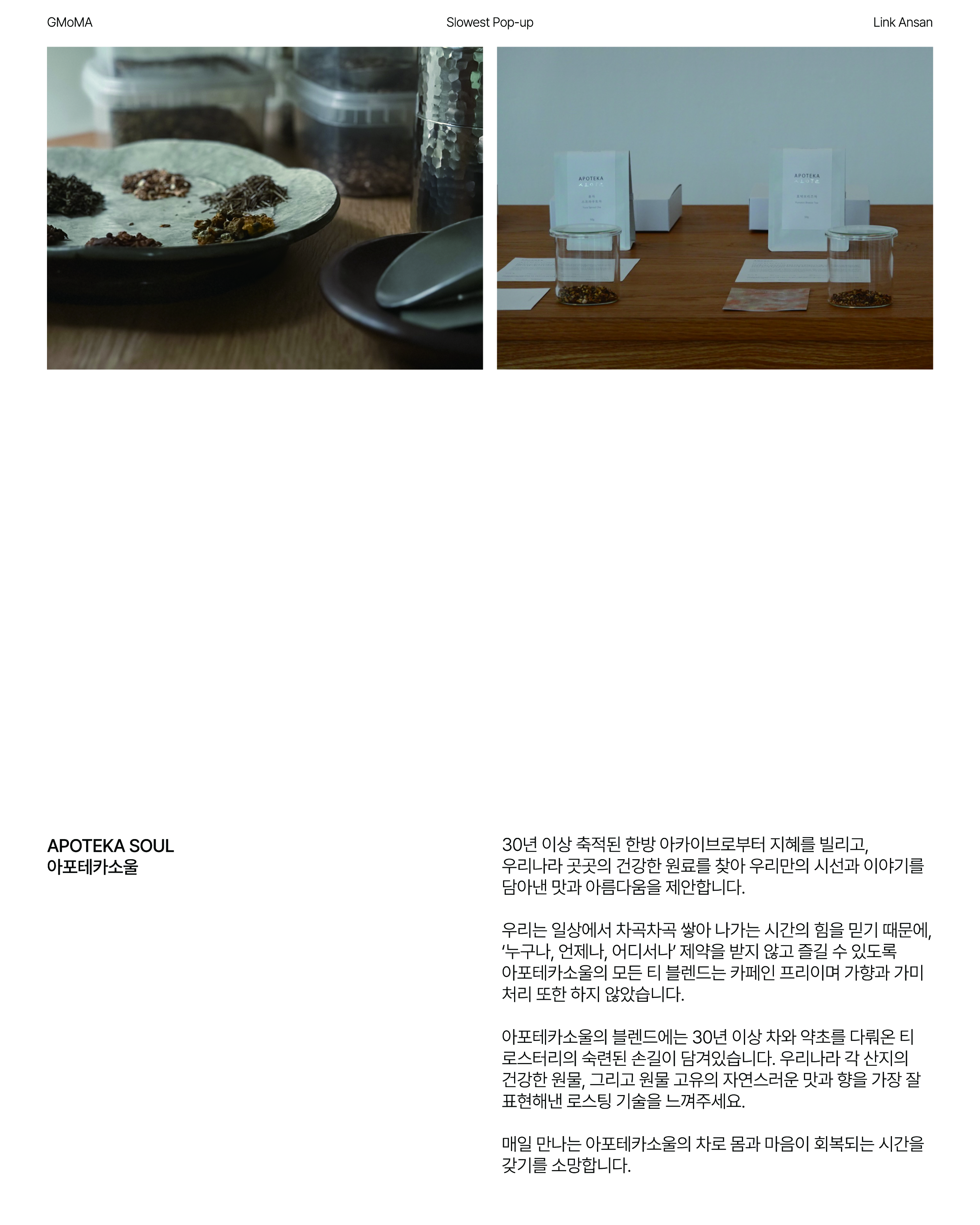 아포테카소울 이미지