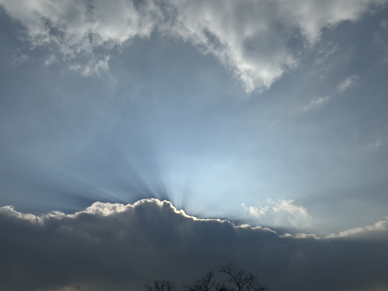 생각이 많은 직장인