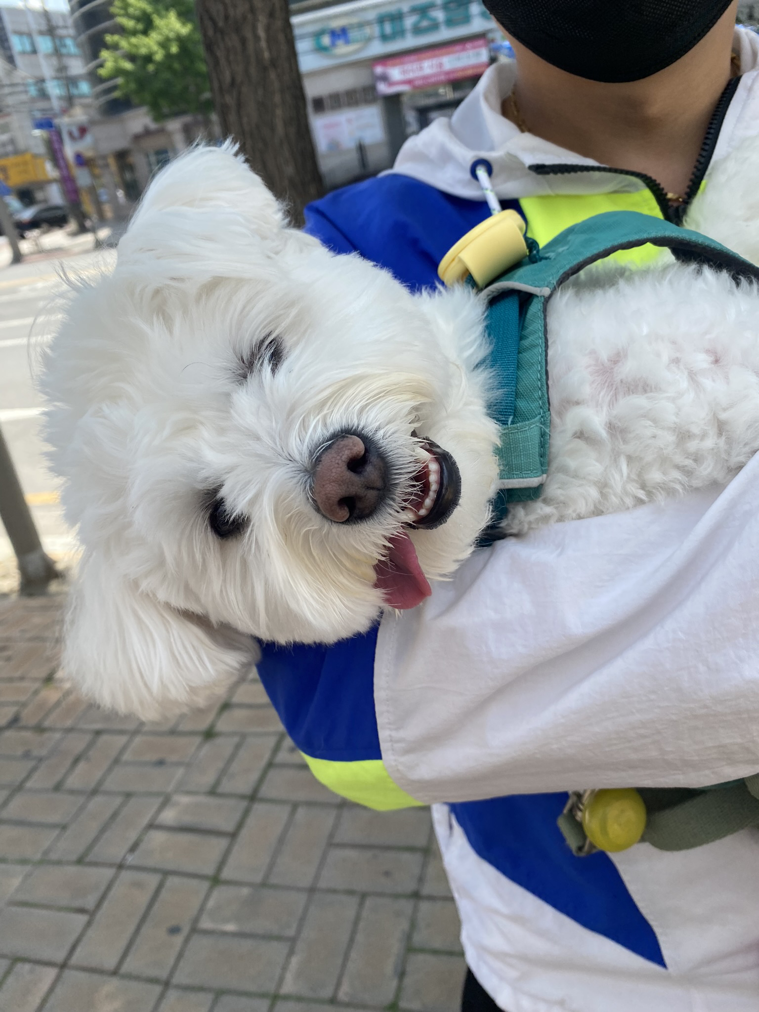 친구와인사해요