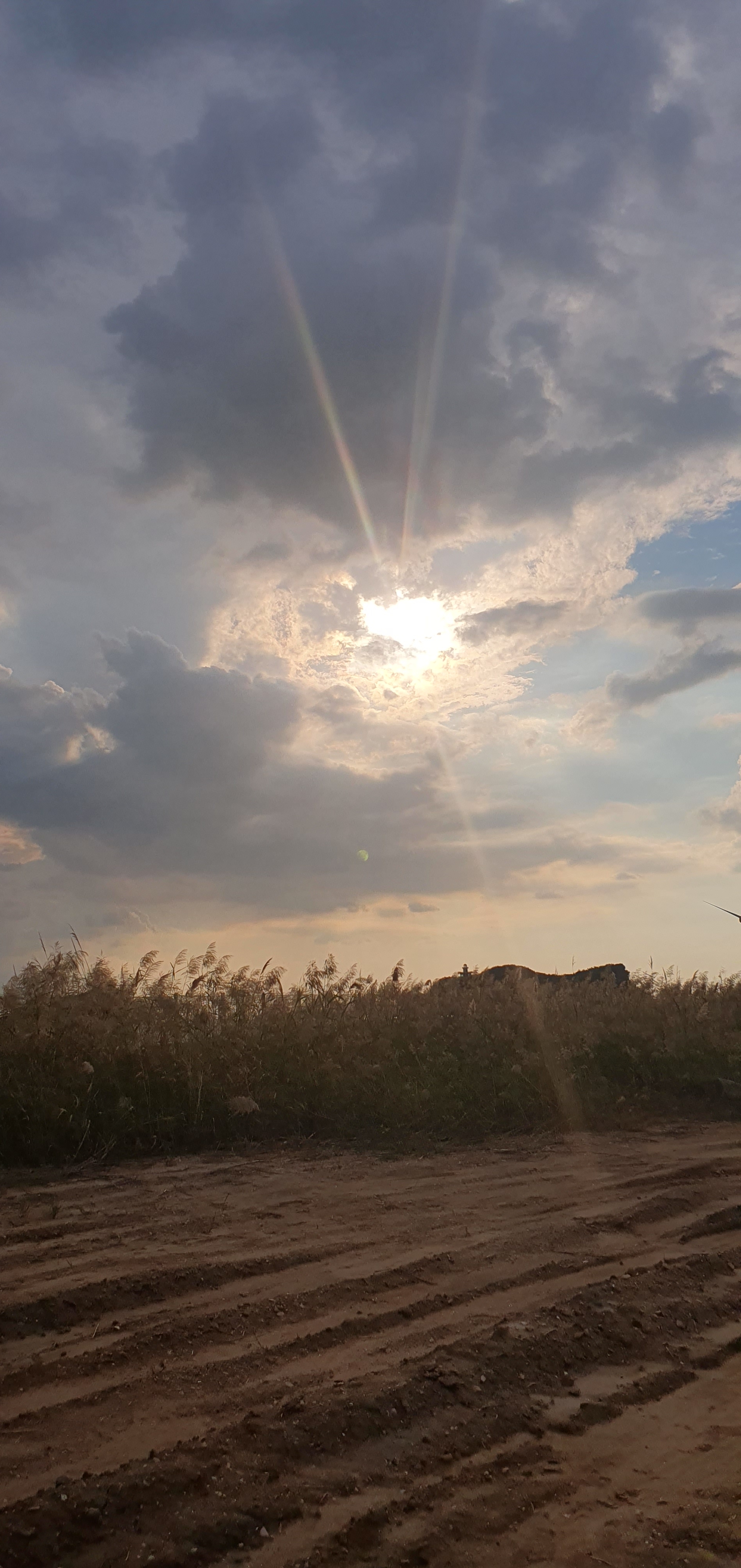 기쁨샘 예성예준라엘맘