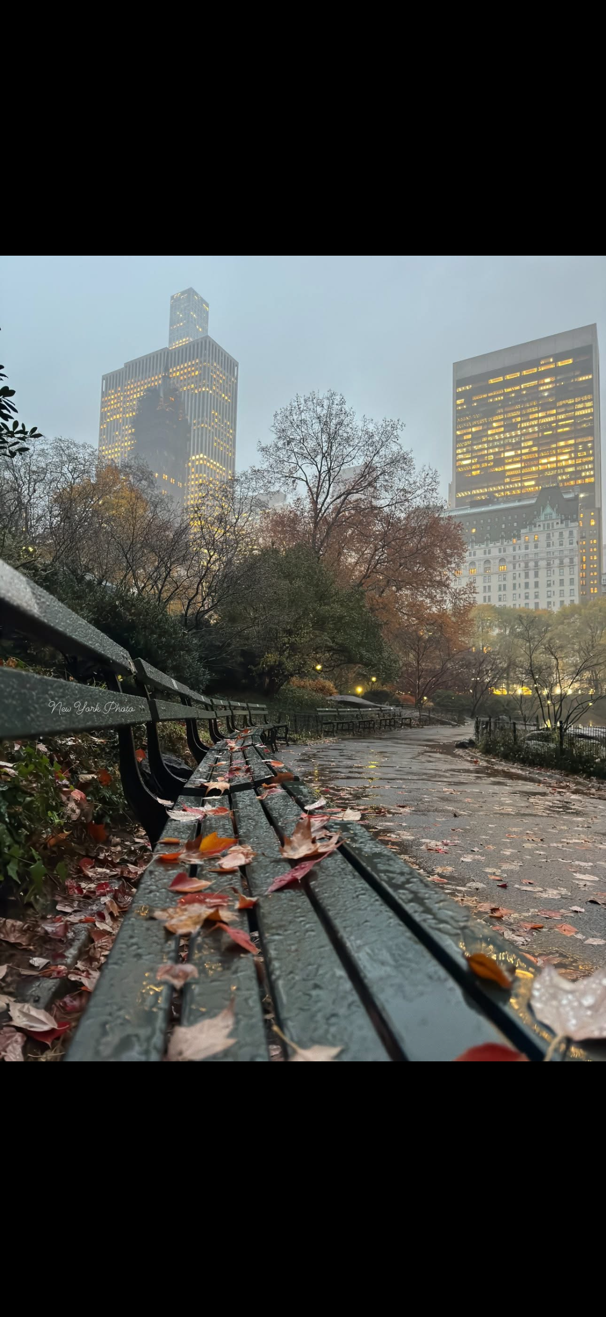 뉴욕 짠한 아줌마