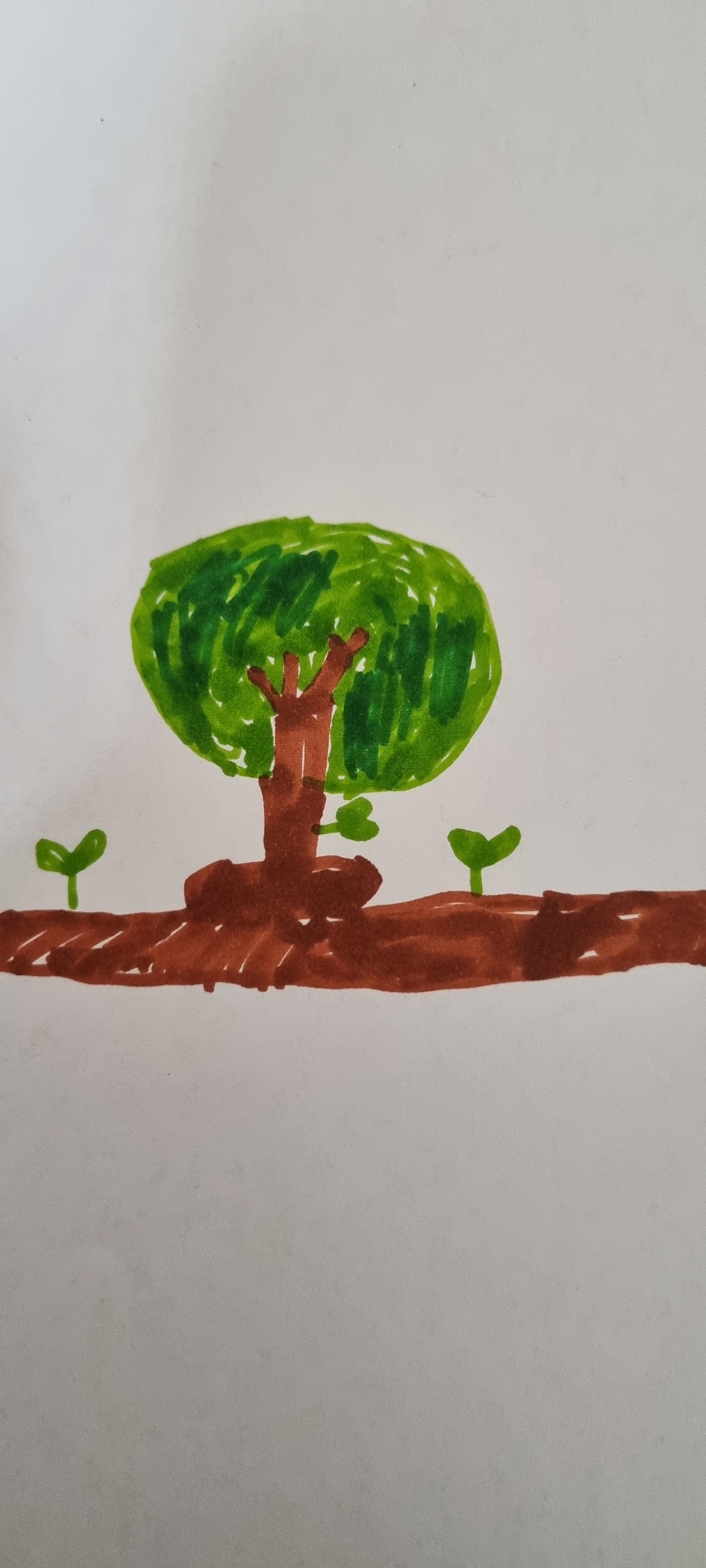 아낌없이주는나무