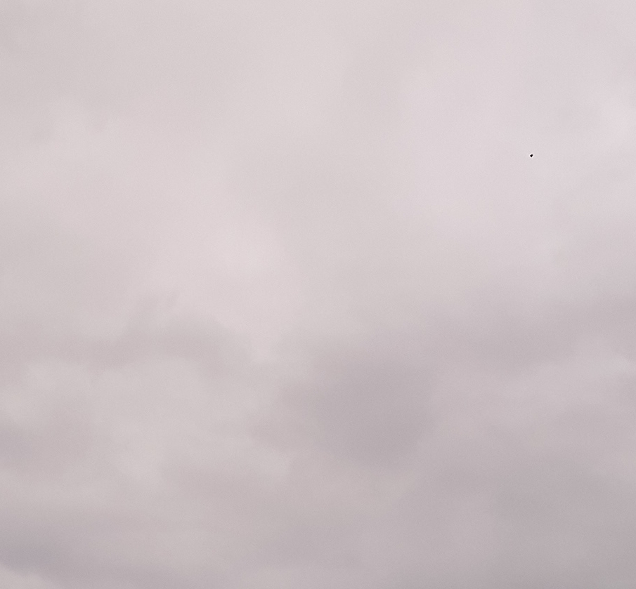 평생 소원이 누룽지