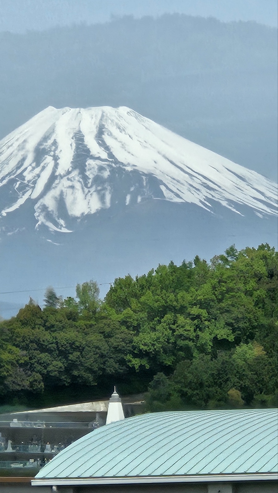 한라산 눈꽃송이