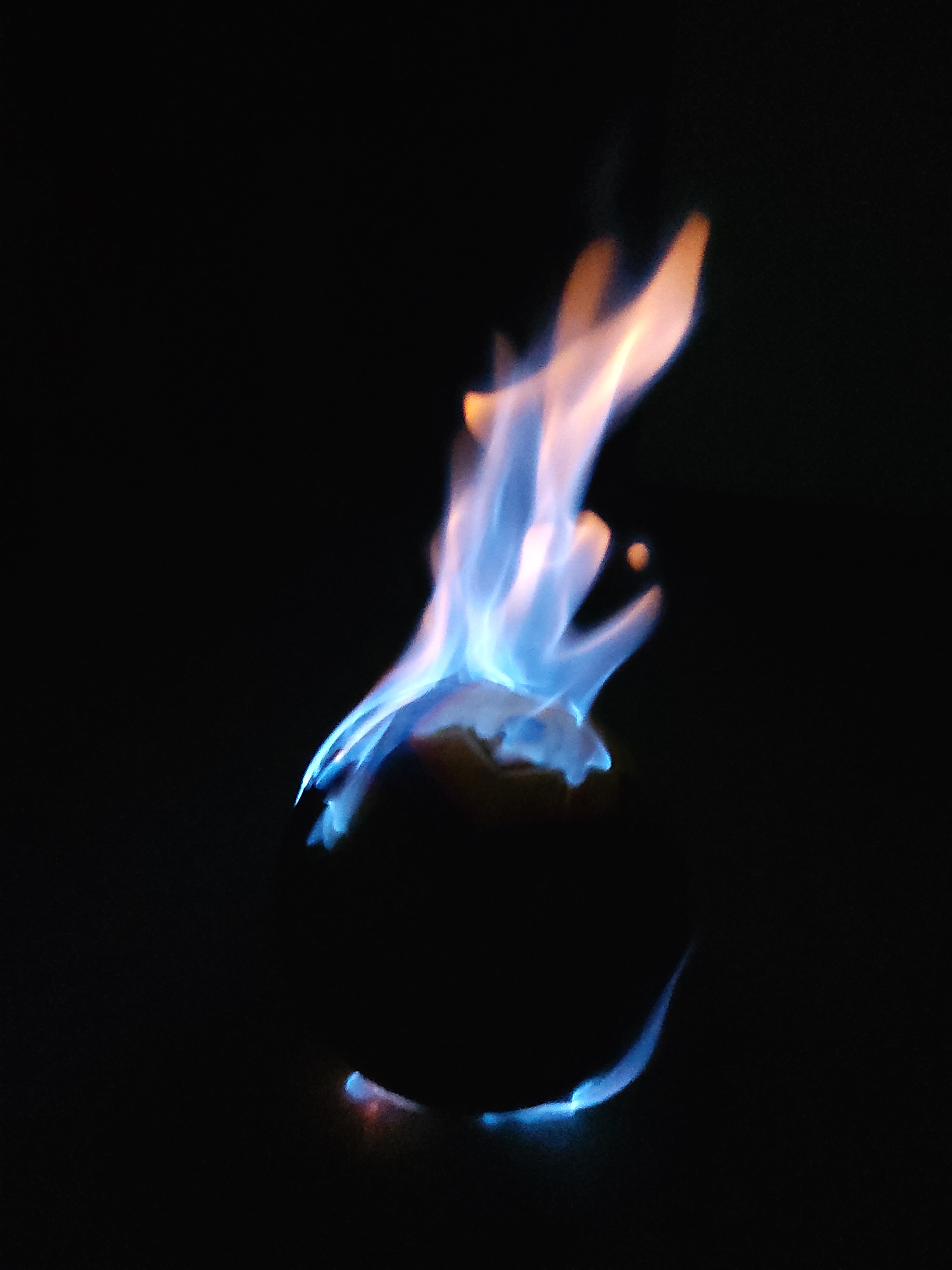 배교자의 고해성사