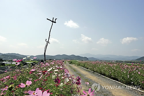 지나는길에 이미지