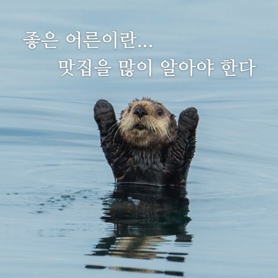 한혜지