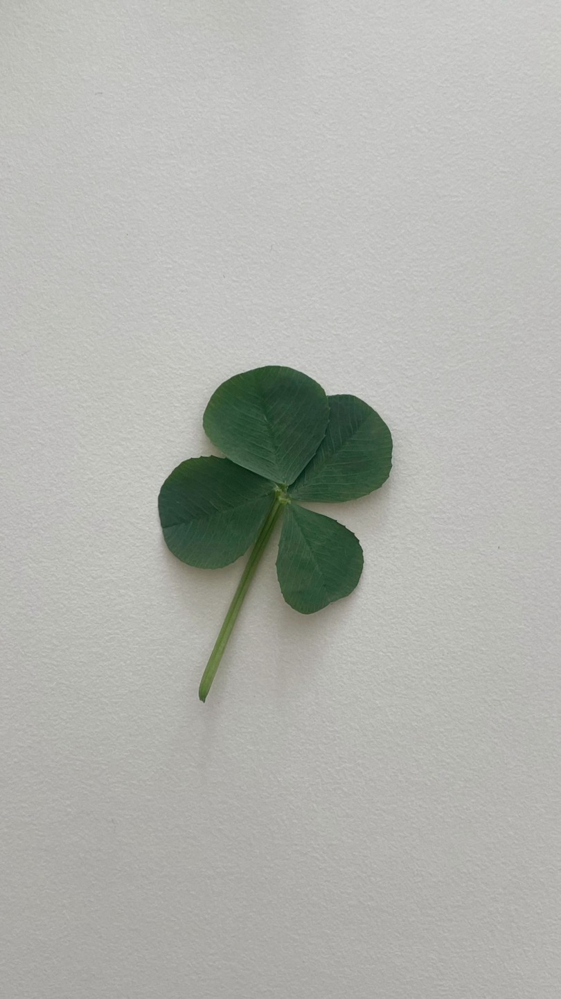 심리학교사 수디