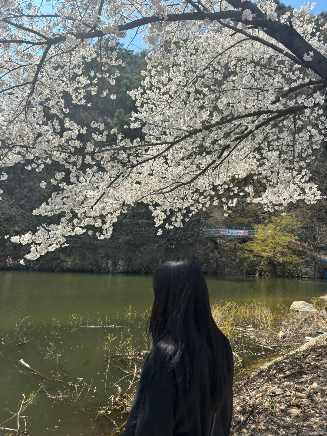 친절한 이야기꾼