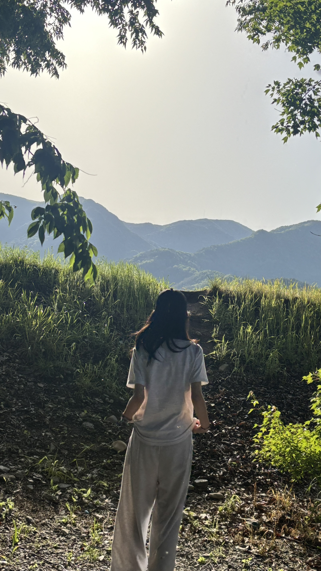 문서연