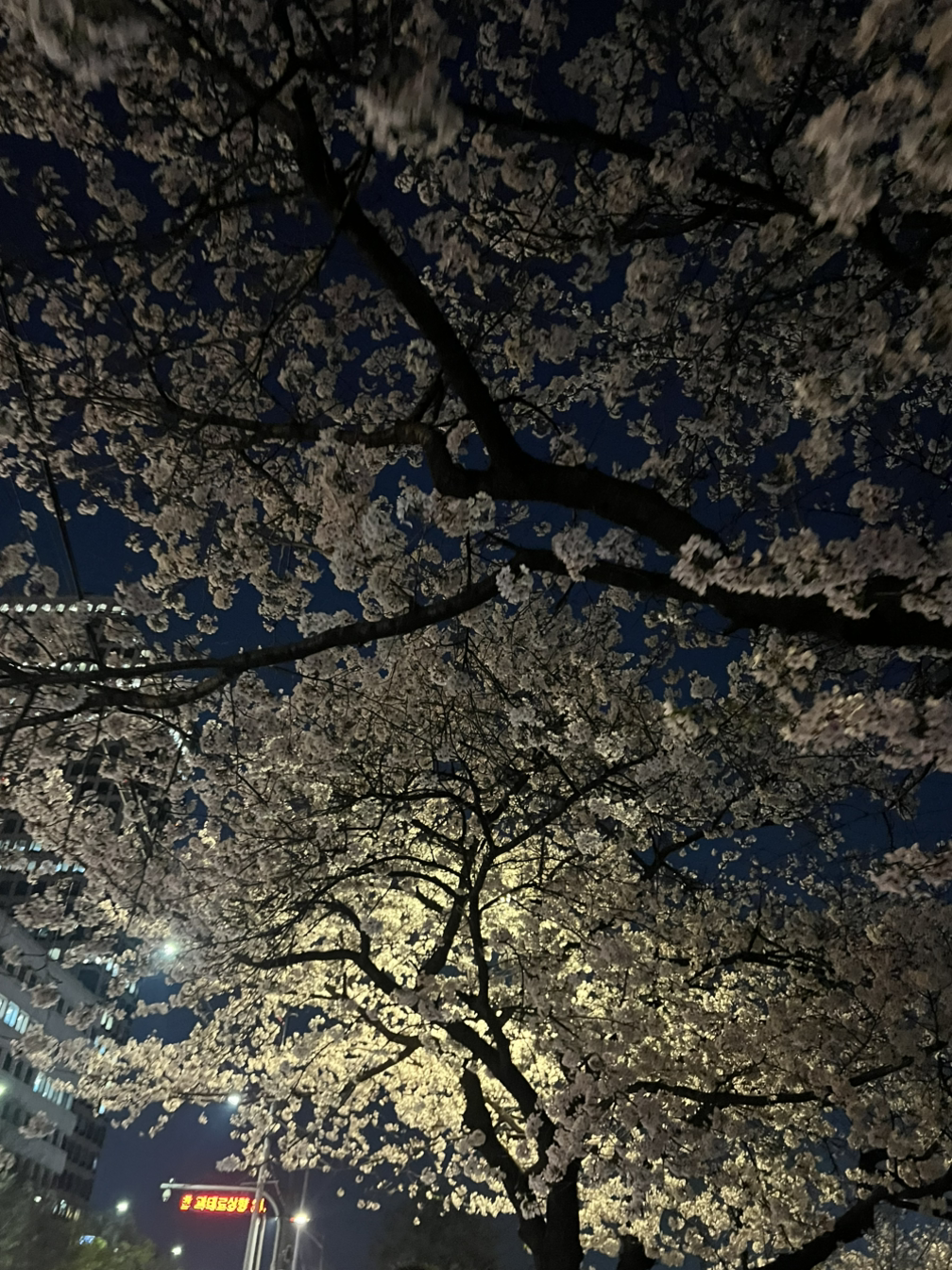 그대만을 위한 삶