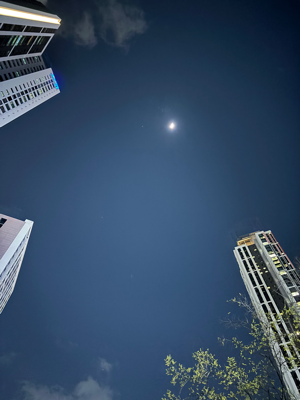 행과 복