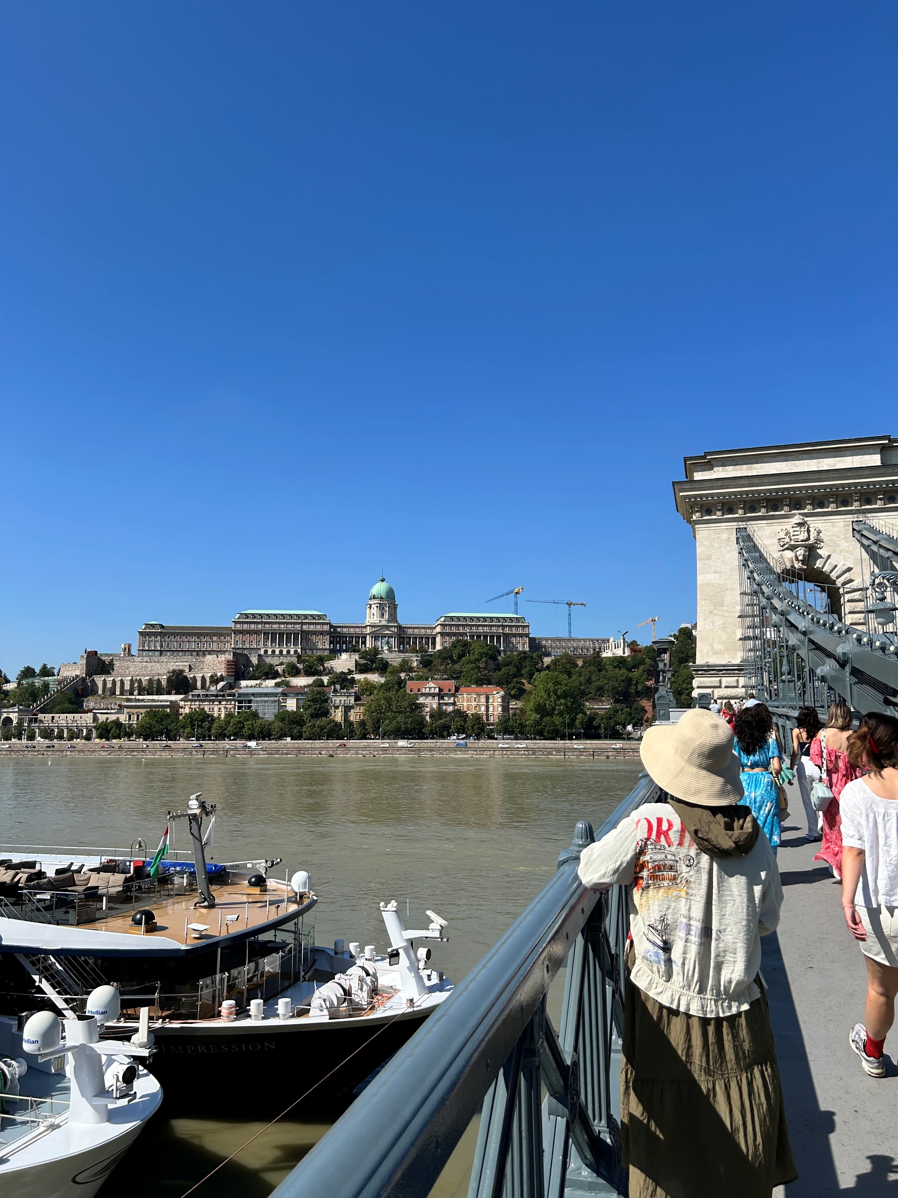우리 손 에프앤 지 주가 (87) 사진