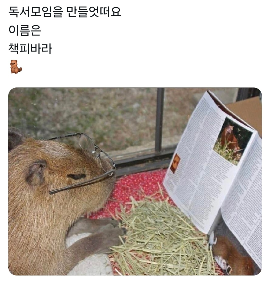 구냥