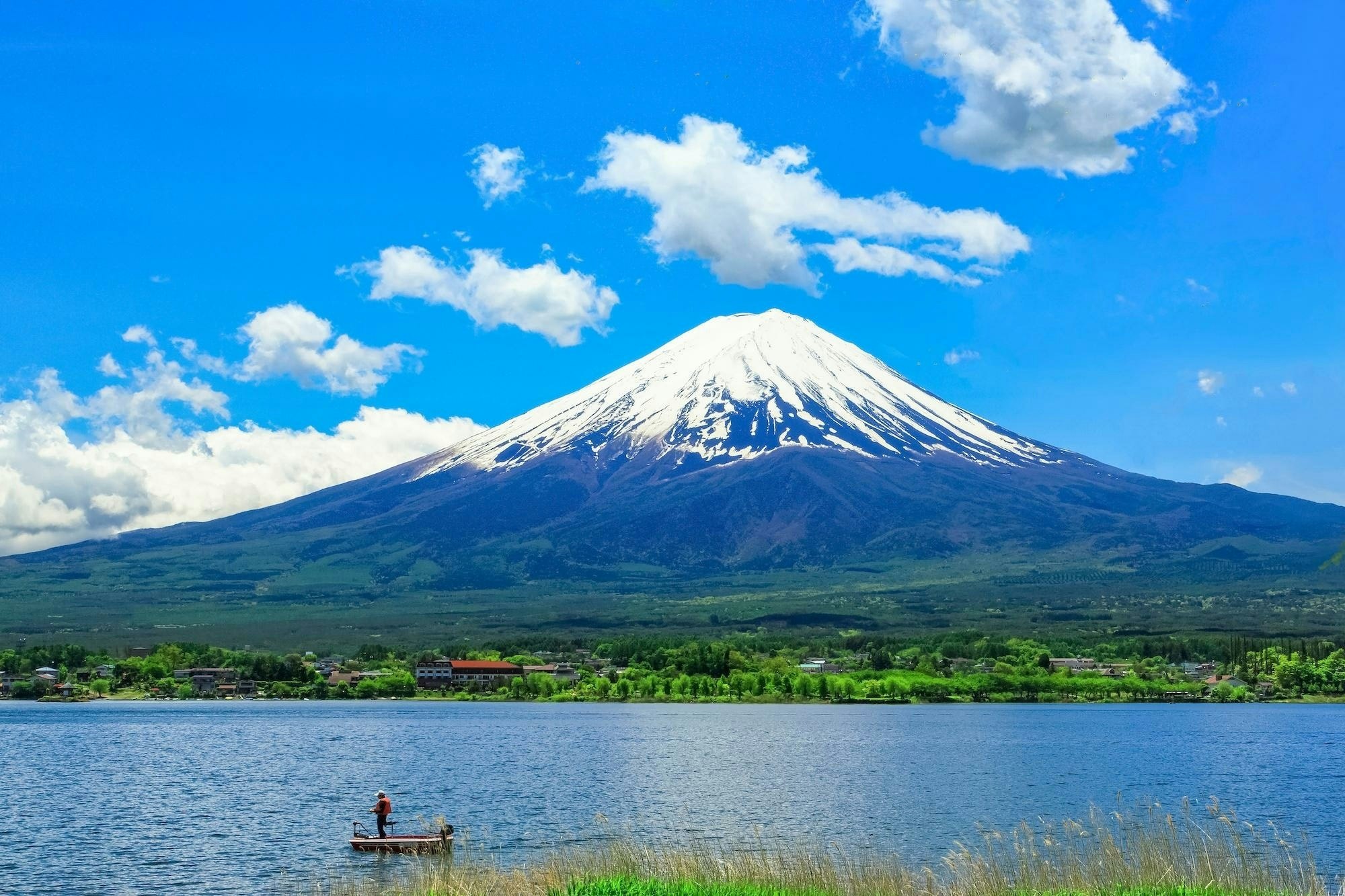 하늘에서내려온토끼