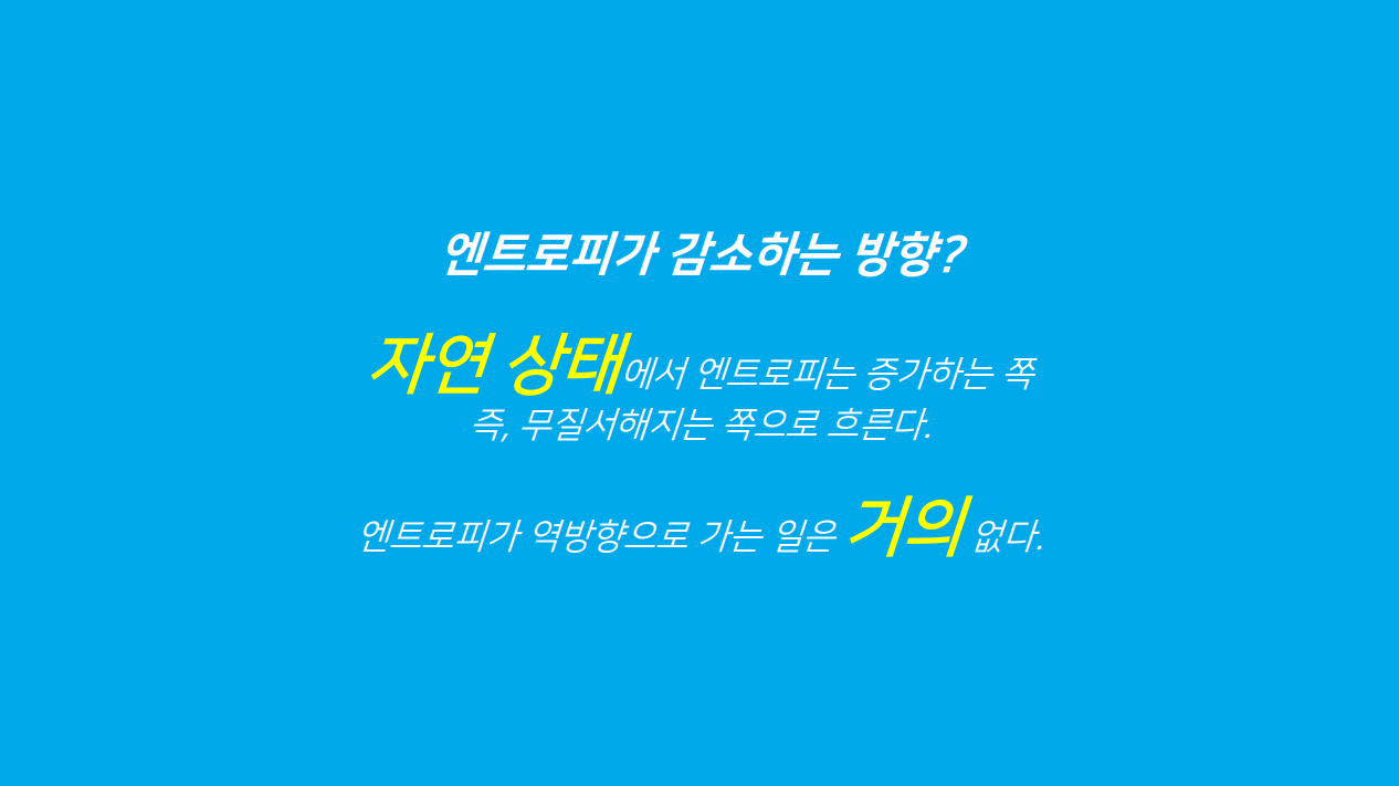 삶의모양 이미지