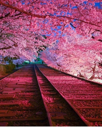 프리랜서 일상공유