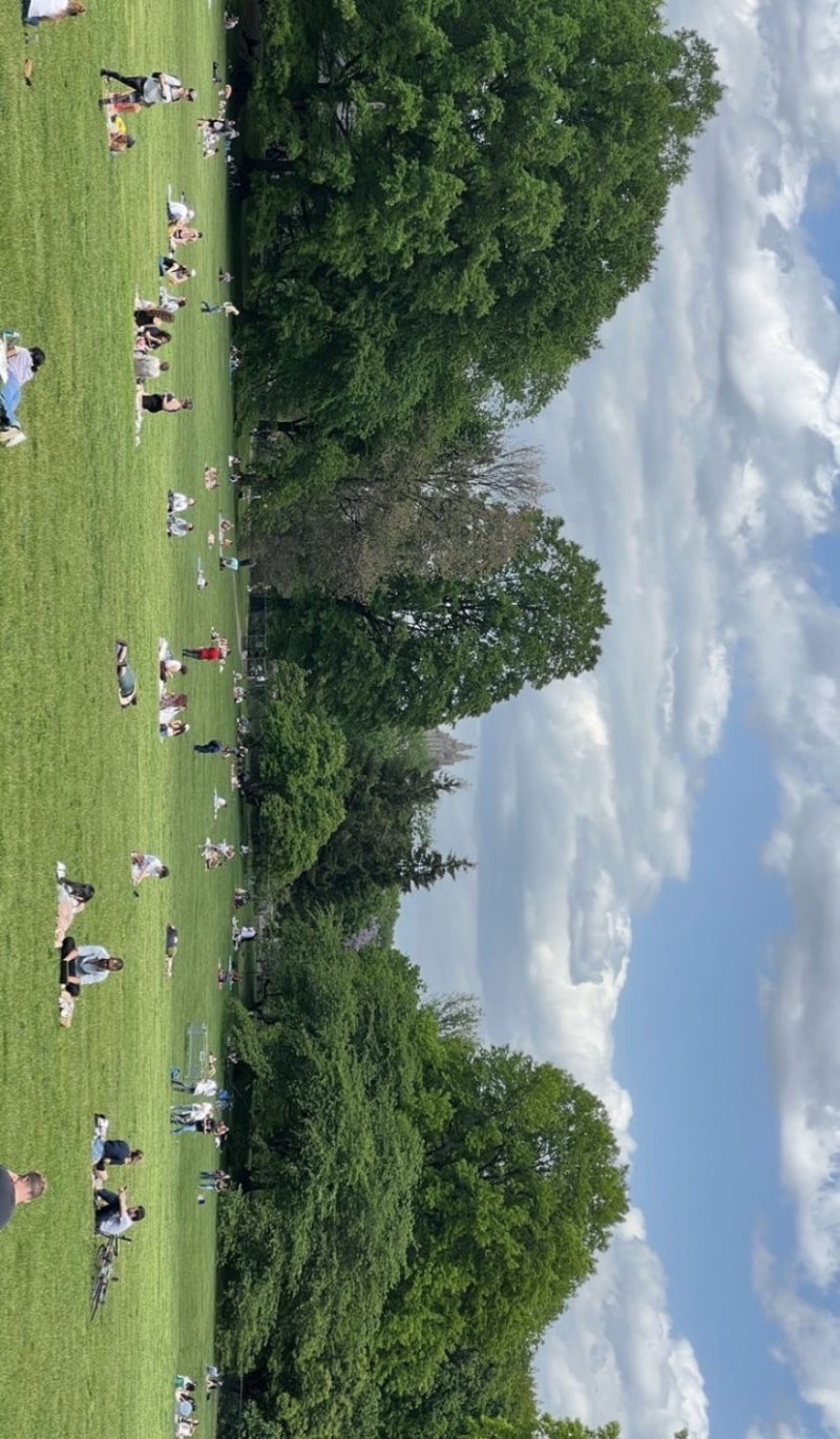 행복을 찾습니다