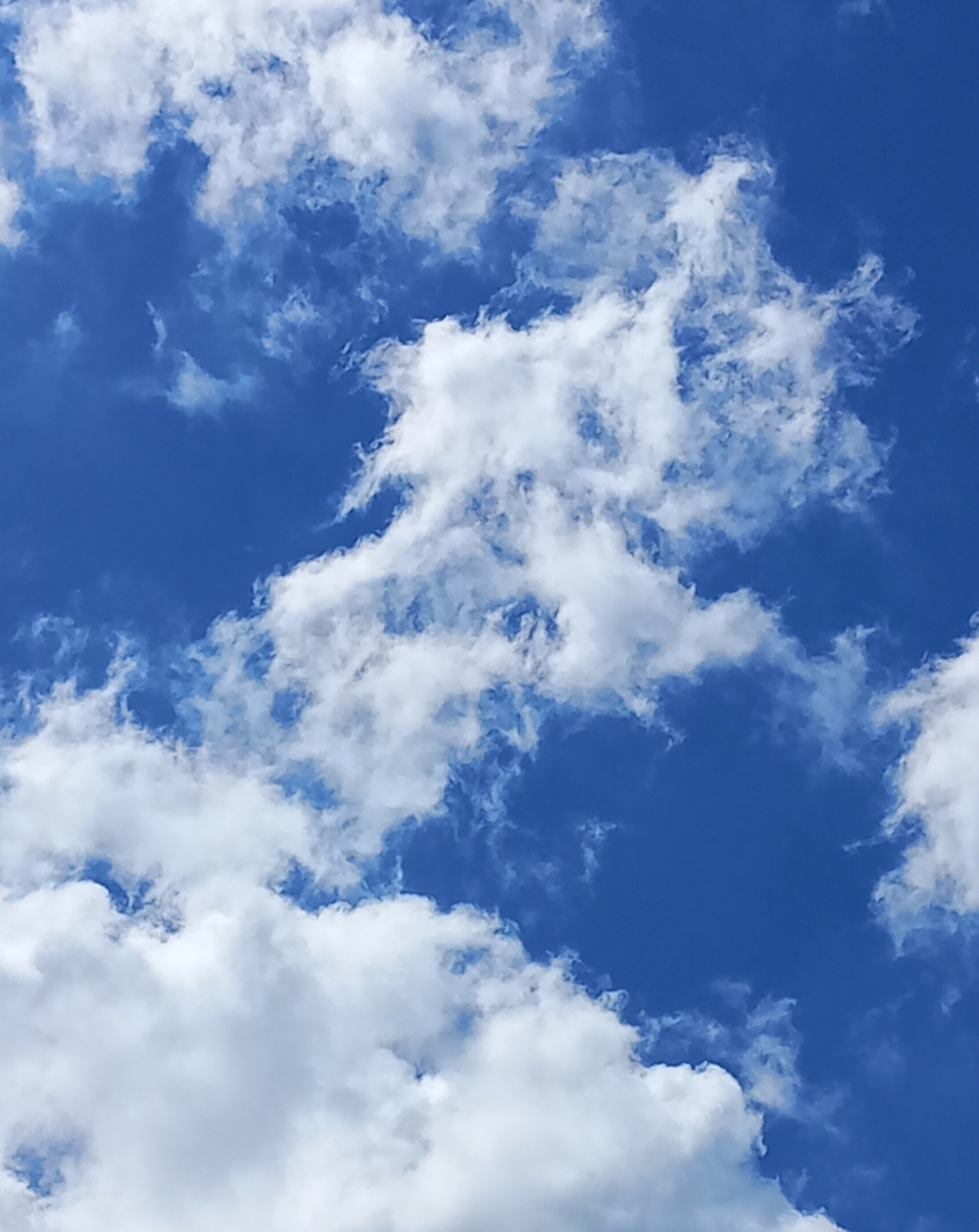 행운을 찾습니다