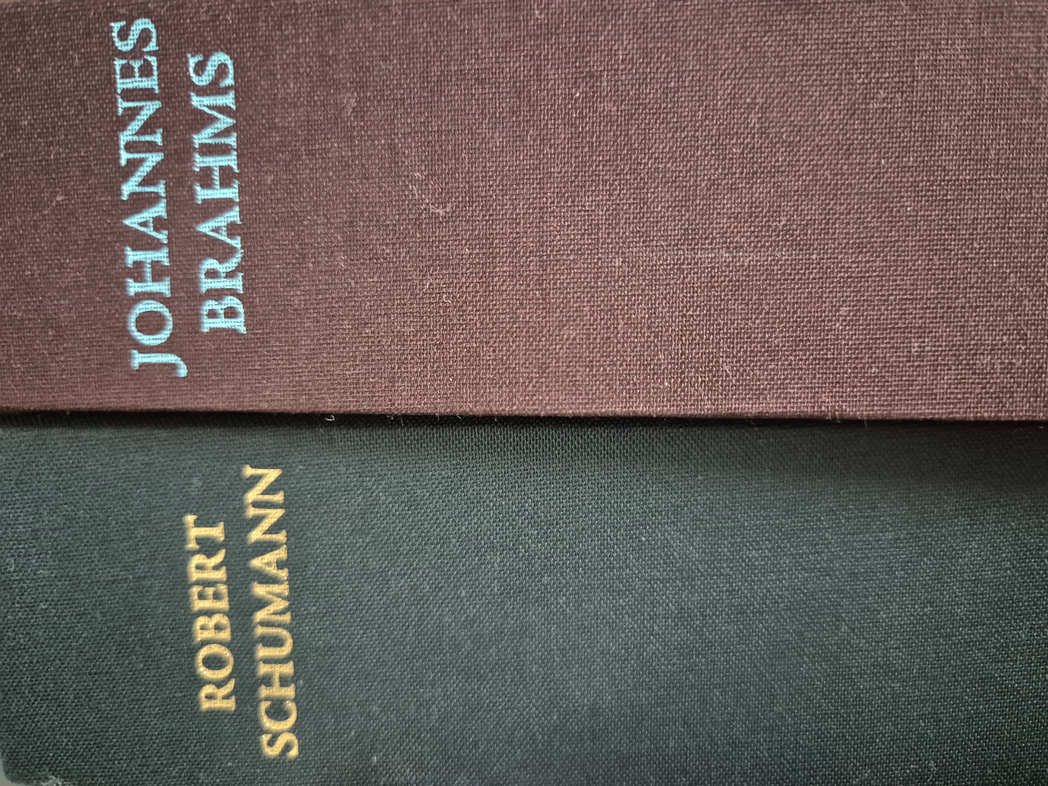 클라라슈만박사