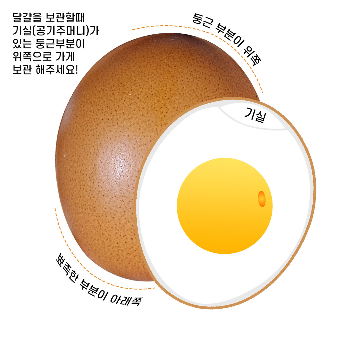 좋은계란 이미지